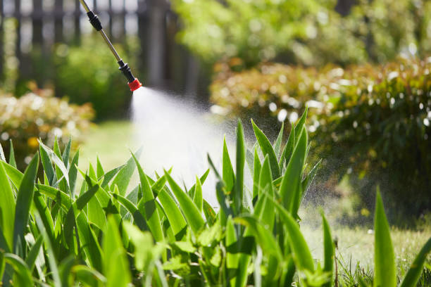 Tamper-Resistant Bait Stations for Rodents in Gonzales