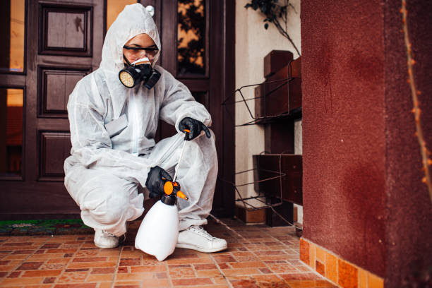 Attic and Crawl Space Rodent Treatment in Gonzales