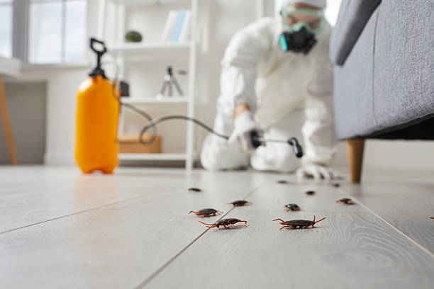 Commercial Rodent Management in Gonzales